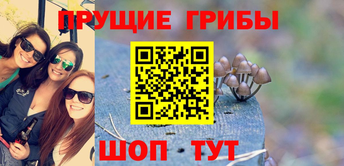 Галлюциногенные грибы Psilocybine cubensis  Вход с VPN  Псилоцибиновые грибы прущие грибы  Сергиев Посад 